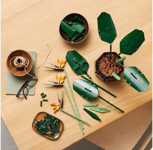 Image du produit LEGO Oiseau de Paradis (10289, LEGO difficiles à trouver)