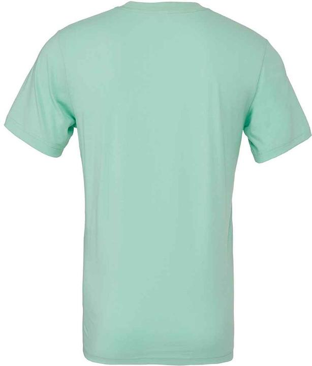 Actual product image Bella Canvas CVC TShirt short-sleeved (S)