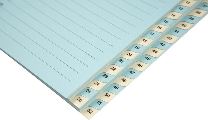 Actual product image Biella Index cardboard A4 1-52, 4holes