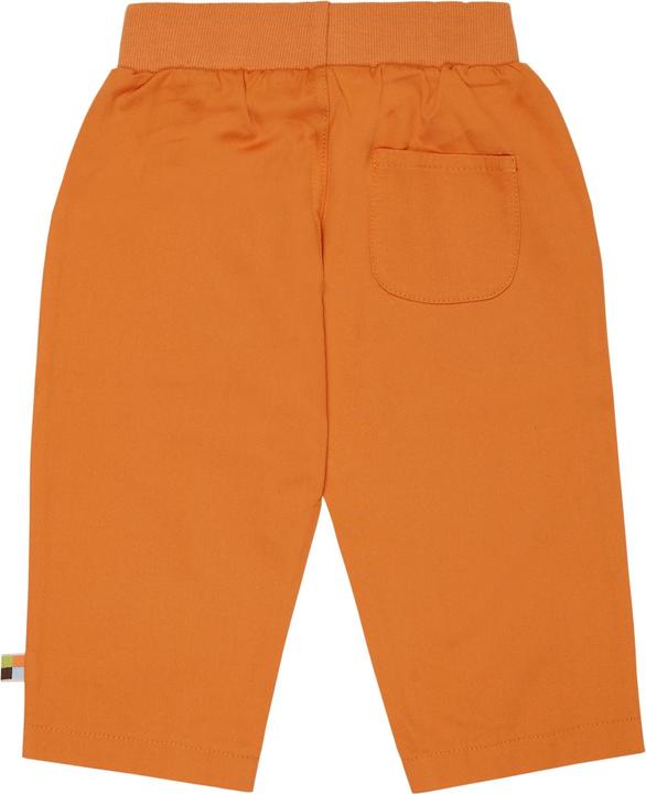Actual product image loud + proud Pants twill (104)