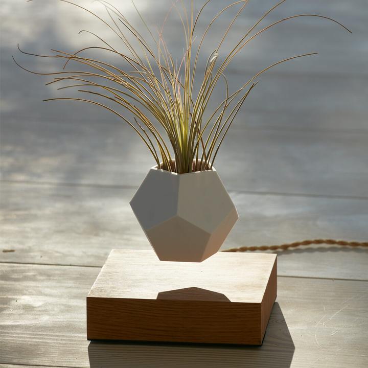Image du produit Flyte LYFE Planter (154 cm)