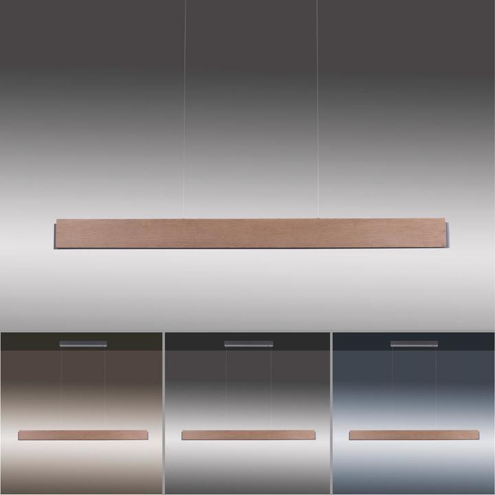 Image du produit Paul Neuhaus Palma (2000 lm)