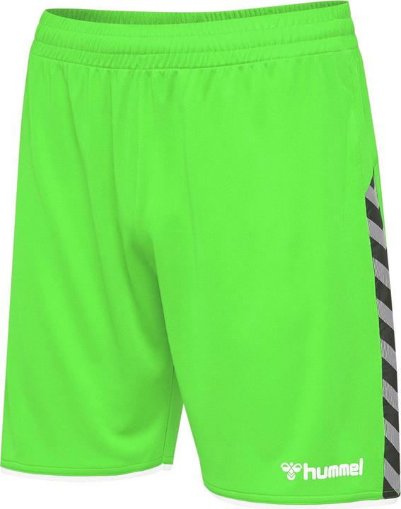 Actual product image hummel Authentic Poly Shorts (M)