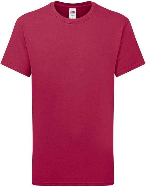 Fruit of the Loom Iconic 195 Premium TShirt