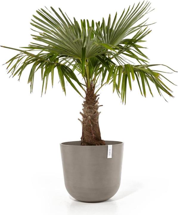 Produktbild Ecopots Oslo (55 cm)