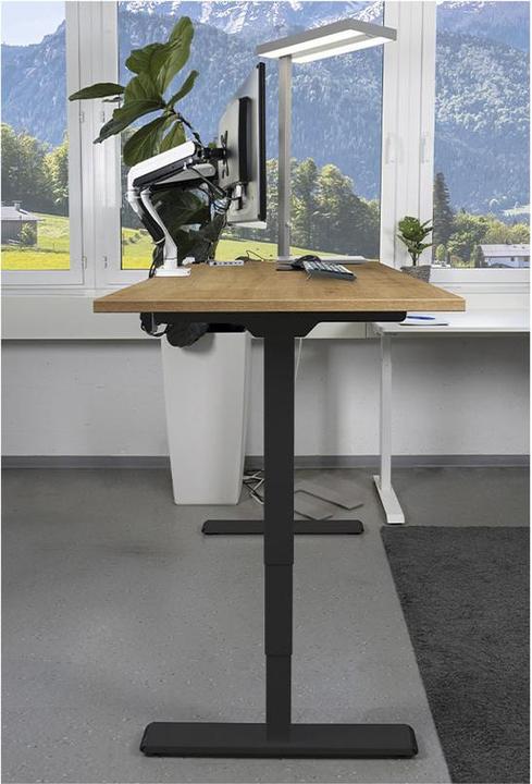 Produktbild Contini höhenverstellbarer Bürotisch 1.4x0.8m Eiche / Gestell schwarz