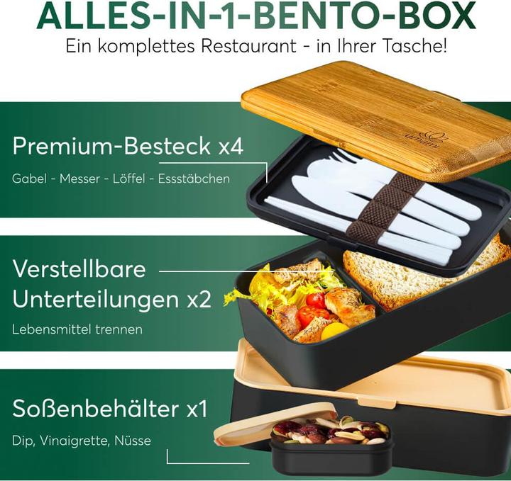 Actual product image Umami Bento Box