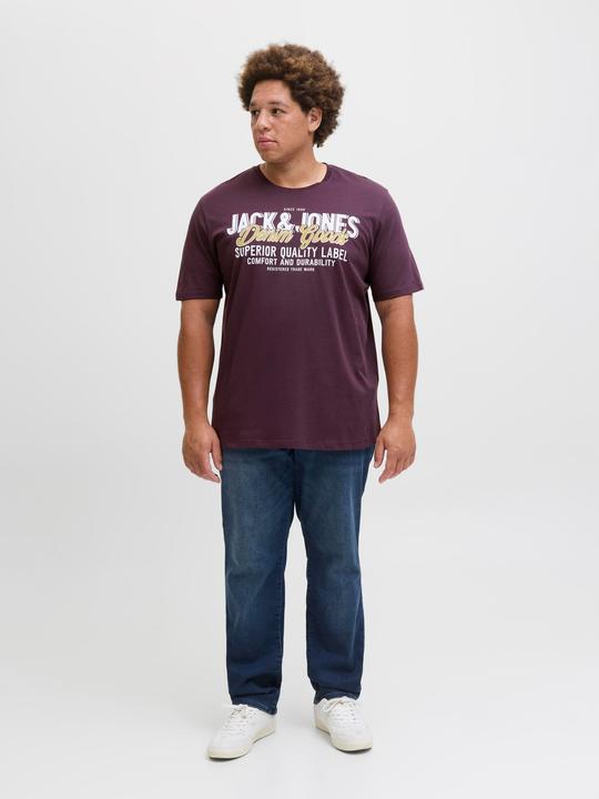 Actual product image Jack & Jones Jjelogo Tee Ss Oneck 2 Col Aw25 Noos Pls (4XL)