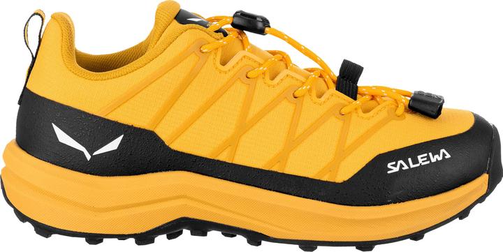 Image du produit Salewa Kid's Wildfire 2 (36)