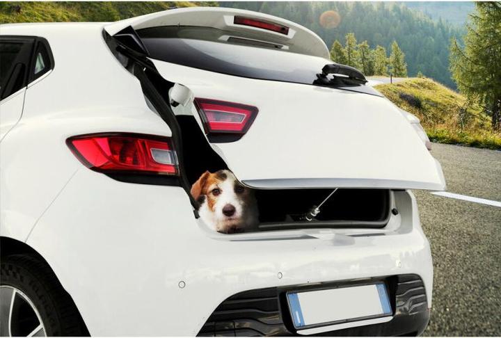 Actual product image Lampa Luggage compartment locking hook for ventilation of the vehicle interior