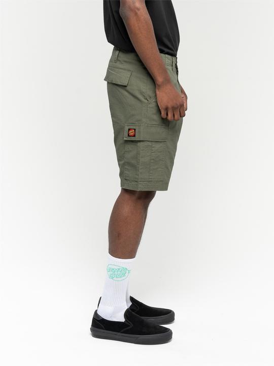 Actual product image Santa Cruz Defeat Workshort (32)