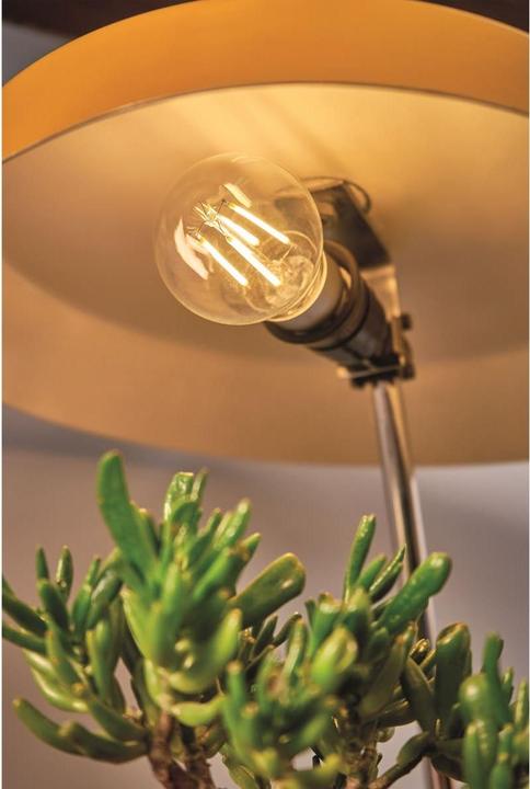 Image du produit Shelly Vintage A60 (E27, 9 W, 800 lm, 1 x, F)