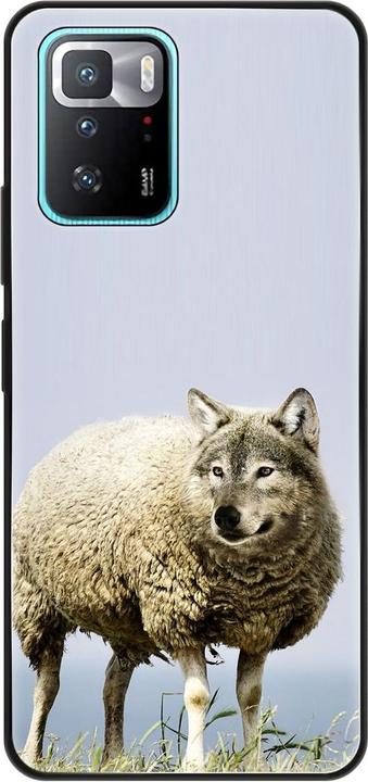Wolf in sheep's clothing