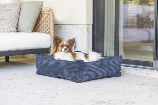 Actual product image Designed by Lotte Ribbed (Dog)