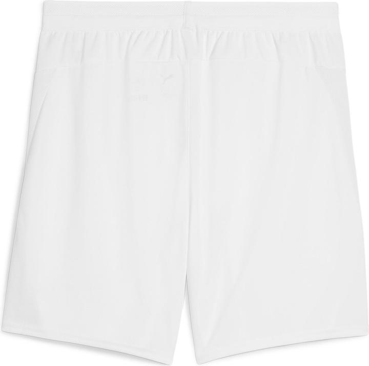 Actual product image Puma teamCUP Shorts (S)