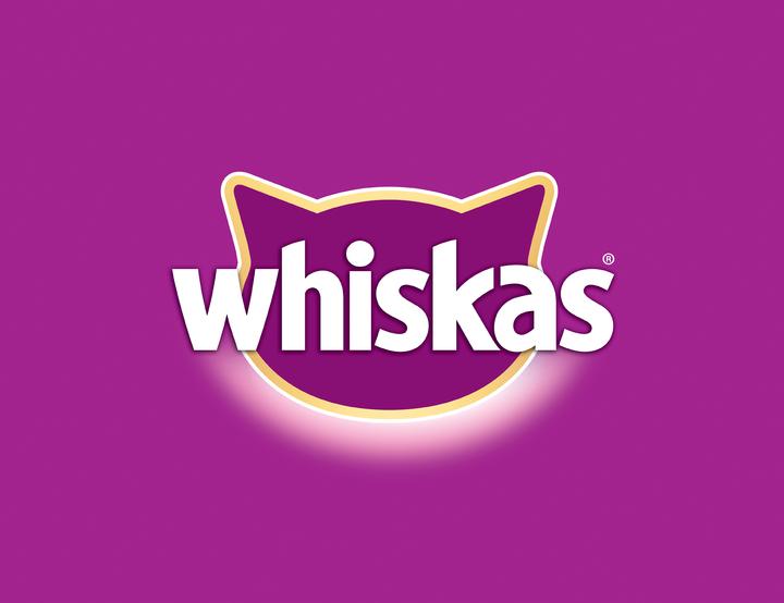 Actual product image Whiskas 1+ (Adult, 1 pcs., 3800 g)