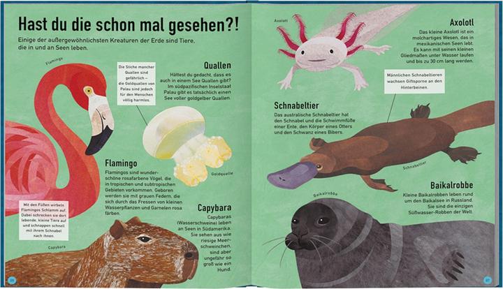 Produktbild Haba Blauer Planet – Das Leben in unseren Ozeanen, Flüssen und Seen (Deutsch, Moira Butterfield, 2019)