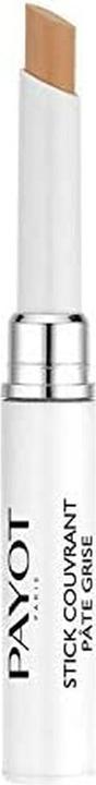 Actual product image Payot Paris Pâte Grise Duo purifying concealing pen