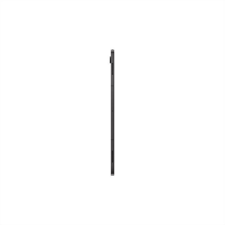 Actual product image Samsung Galaxy Tab S8 Ultra (WLAN only, 14.60", 128 GB, Graphites)