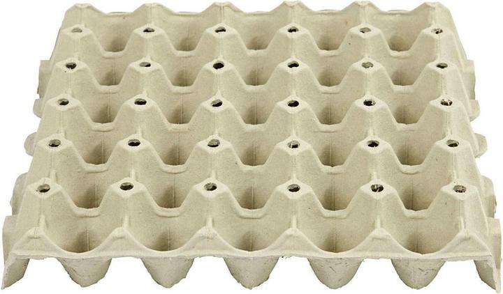 Actual product image Creativ Company Egg tray