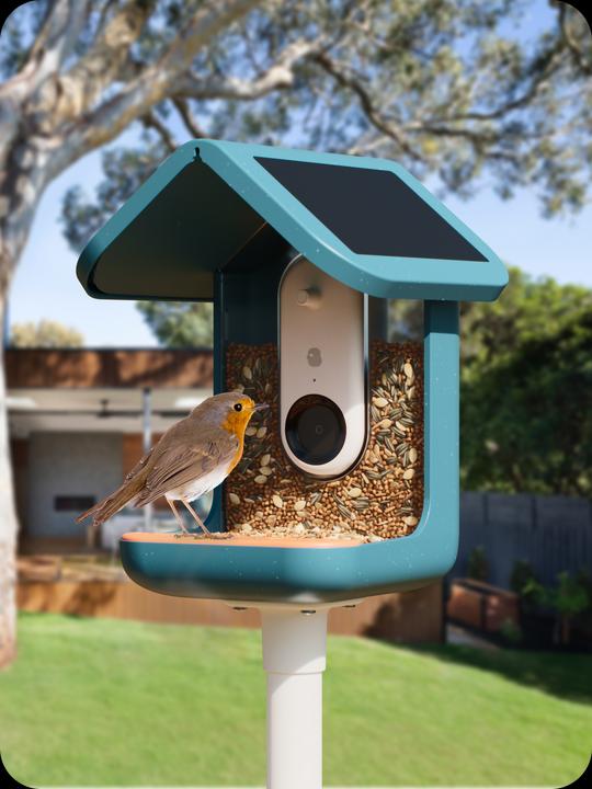 Immagine prodotto Bird Buddy Distributore di cibo