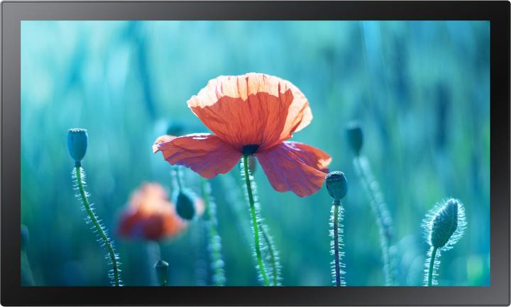 Produktbild Samsung QB13R-TM (1920 x 1080 Pixel, 13")