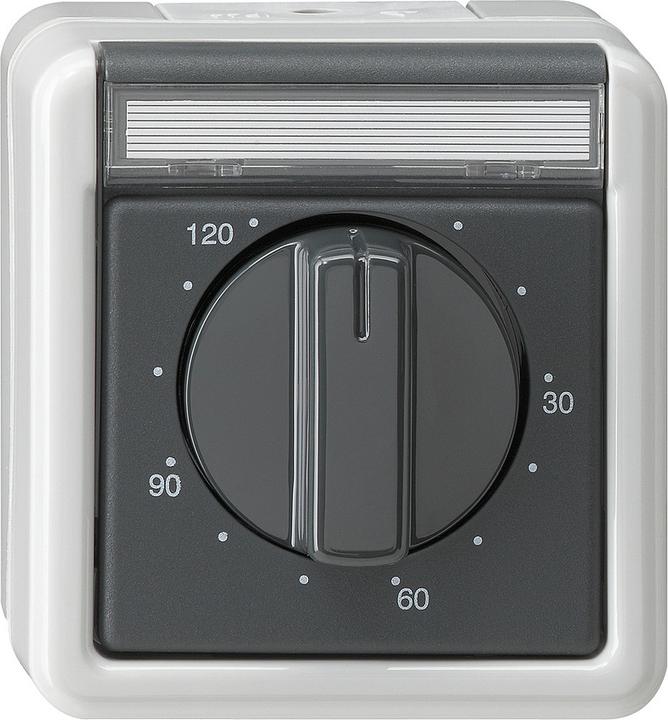 Actual product image Gira Timer 2-p 120 min BSF WG AP Grey
