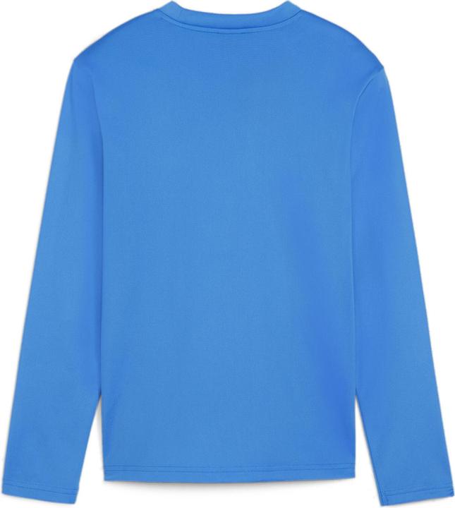 Actual product image Puma teamGOAL Training Sweat Jr (140)