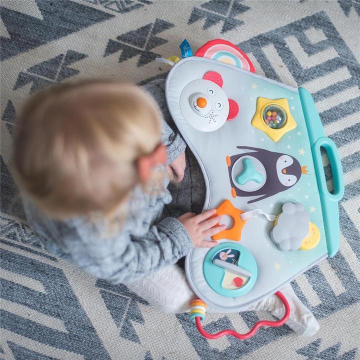 Produktbild Taf Toys Nordpol