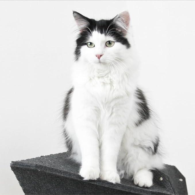 Produktbild Company of Animals Miut L Klettermöbel