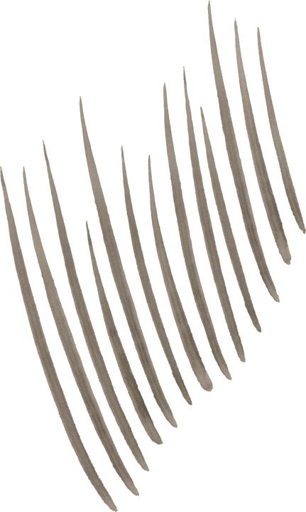 Actual product image Maybelline New York Build-A-Brow (Ash Brown)