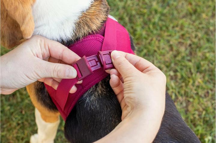 Produktbild Curli Vest Air-Mesh (XXS, Hund, Allgemein)