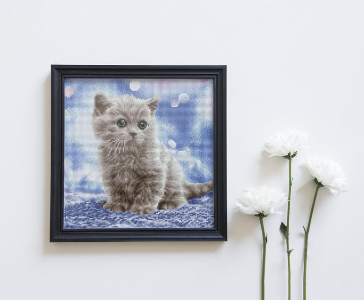 Produktbild Diamond Dotz Squares Katze Bubbles