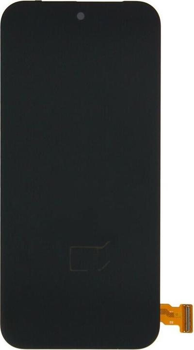 Google Display Pixel 9 Pro XL G949-01011-00 (Display)