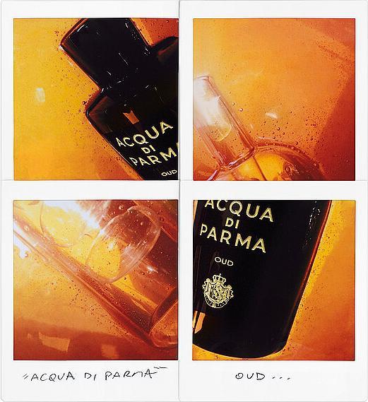 Actual product image Acqua Di Parma Oud (Eau de parfum, 180 ml)