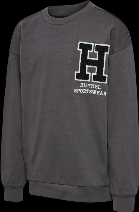 Image du produit hummel hmlALLTON SWEATSHIRT (152)