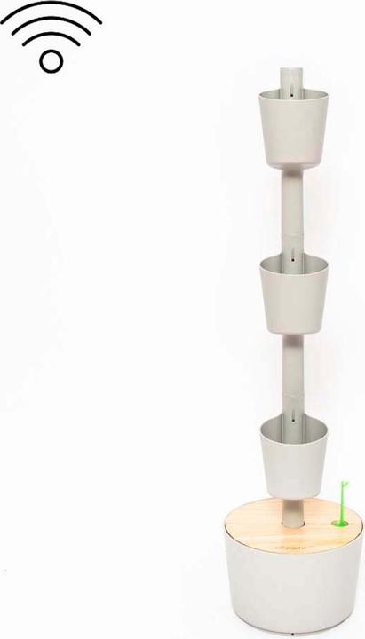 Produktbild Wilford & Sons Infuser (0.45 l)