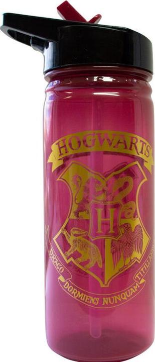 Kids Licensing Harry Potter Flasche 600ml (0.60 l)