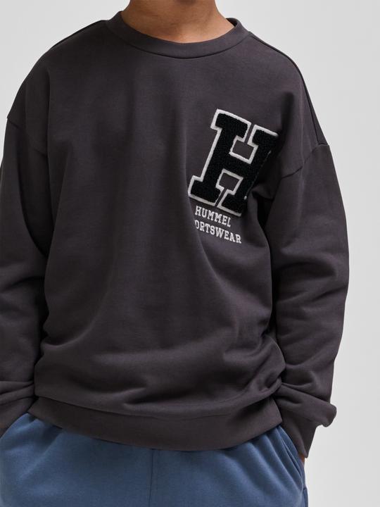 Image du produit hummel hmlALLTON SWEATSHIRT (152)