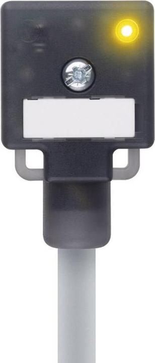 Escha Valve connector type A Black VA22-24.3-5/P01 Poles:2+PE bridged 804782