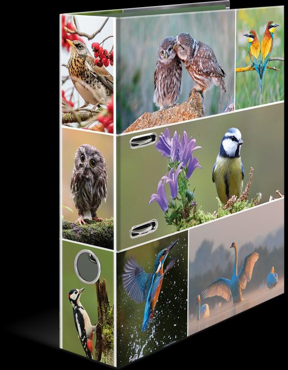 HERMA A4 folder motif (A4, 70 mm, 1 Piece)