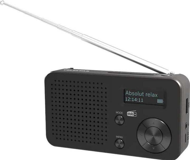Telestar TOP 100 sw portables Radio DAB+/UKW,Bluetooth,USB,Akku (FM, DAB+, Bluetooth, Wi-Fi)