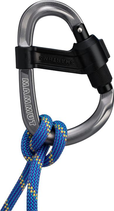 Actual product image Mammut Smart HMS 2.0 Screwgate