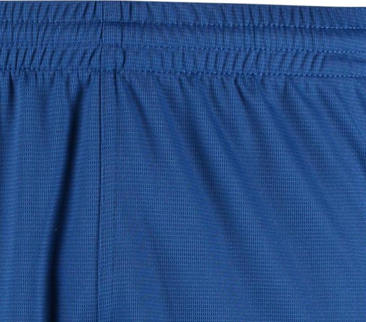 Actual product image hummel Authentic Charge Poly Shorts (S)
