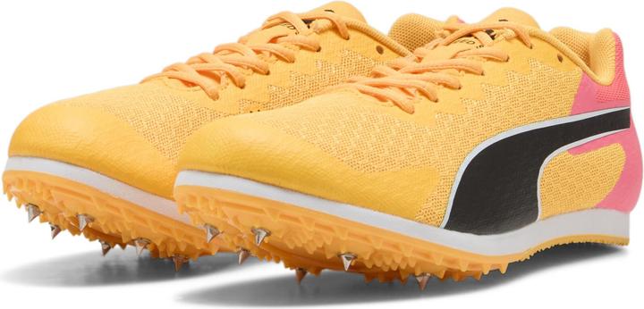 Image du produit Puma evoSpeed Star (34)