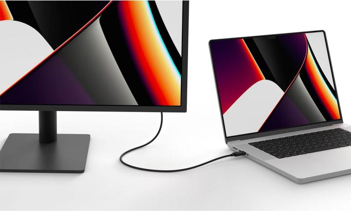 Image du produit Belkin USB C – USB C (1 m, USB 4.0, 100 W)