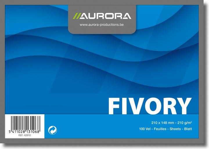 Image du produit Aurora Fiches d'information (A5, 205 g/m², 100 x)
