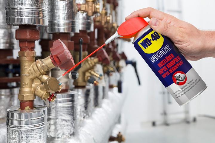 Actual product image WD-40 Rust Remover (100 ml)