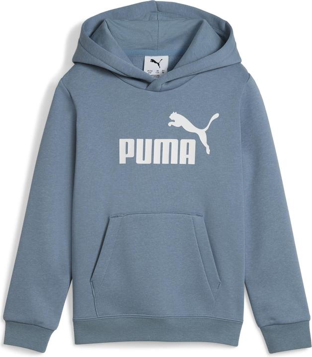 Actual product image Puma ESS No. 1 Logo Hoodie FL PS (104)