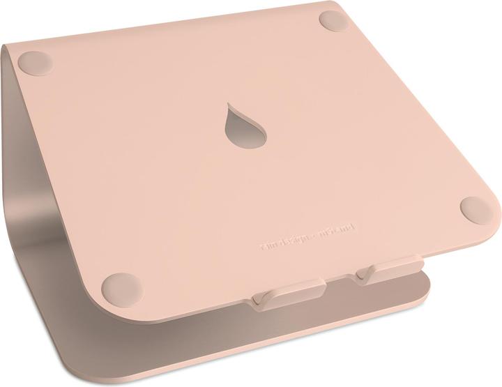 Raindesign mStand Support pour ordinateur portable